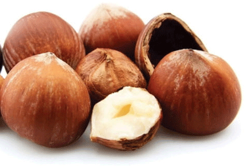 榛子可以放冰箱嗎 幾類(lèi)不宜放冰箱的食物 榛子可以放冰箱嗎 幾類(lèi)不宜放冰箱的食物