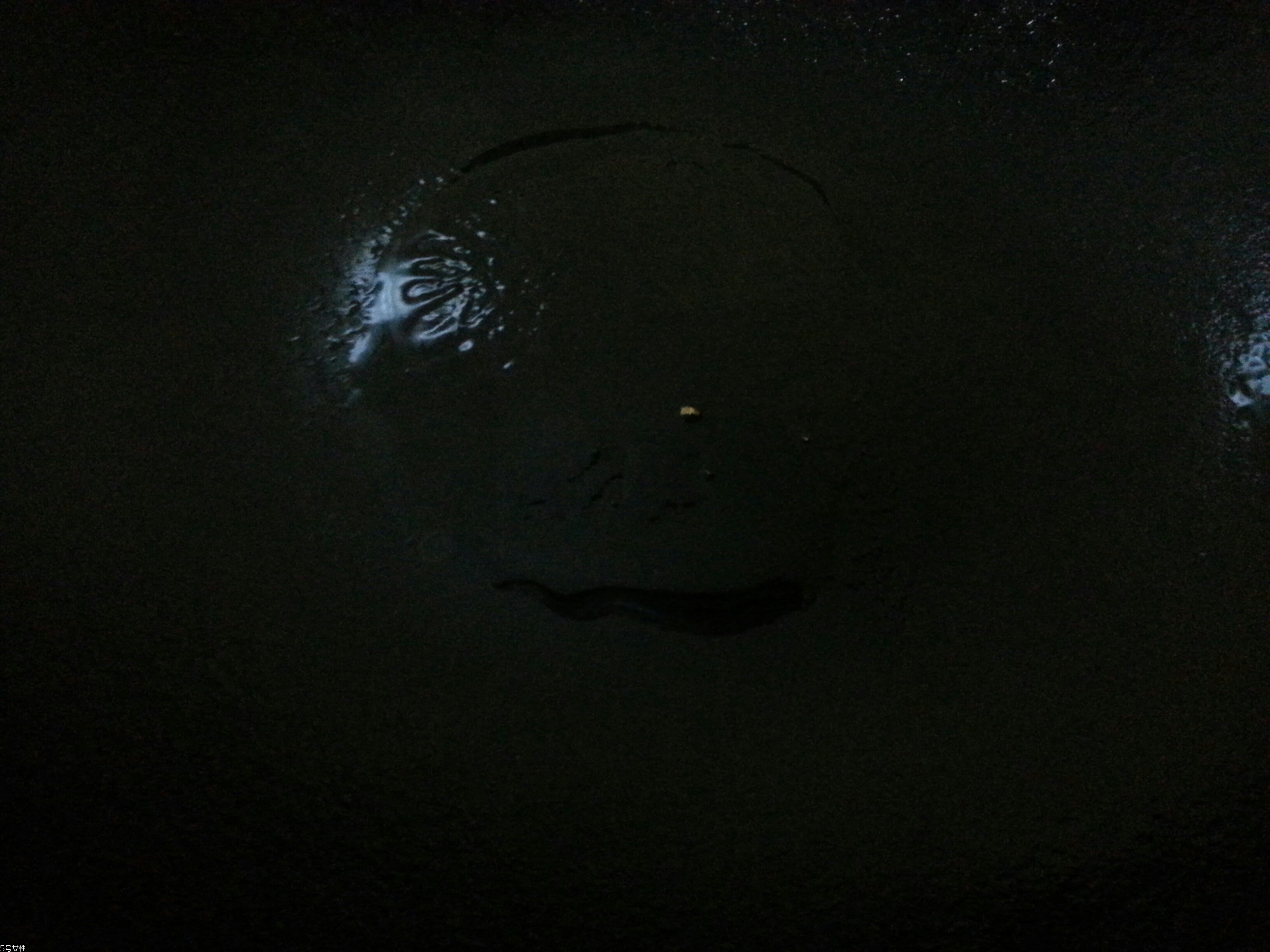 驢肉火燒可以隔夜吃嗎？驢肉火燒味道好