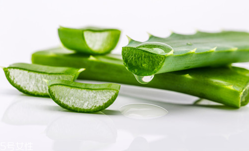 蘆薈面膜多久做一次最好？蘆薈敷臉不能過夜