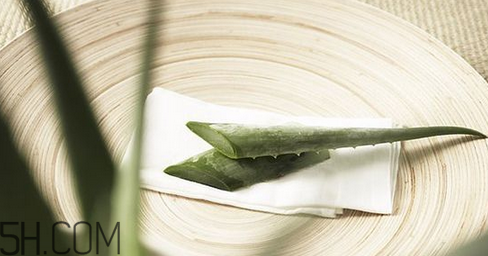 蘆薈膠吃了會怎樣？蘆薈膠的吃法