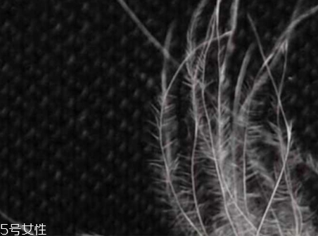 美麗絨是什么面料？適合用作毛毯家居