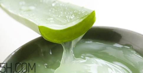 蘆薈膠吃了會怎樣？蘆薈膠的吃法