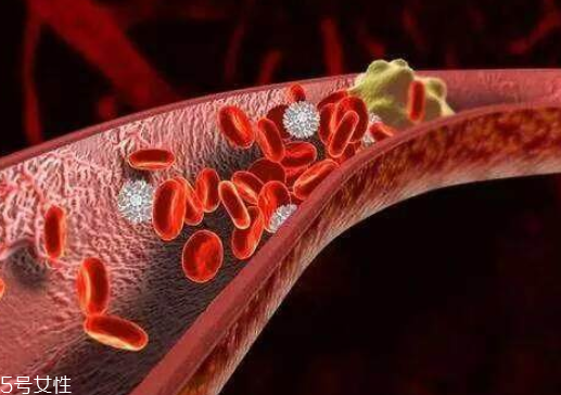 血里的垃圾有哪些？油脂過多成為垃圾油