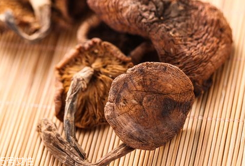 榛蘑怎么洗干凈 教你幾招清洗技巧 榛蘑怎么洗干凈 教你幾招清洗技巧