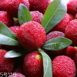 新鮮楊梅如何做酸梅湯？楊梅湯兩做法