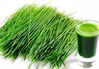 青汁一天喝幾袋最減肥？日本瘋傳的減肥飲食大法