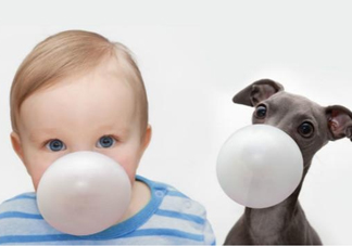 口香糖吃進(jìn)肚子里怎么辦？會(huì)隨排泄物一起排出體外