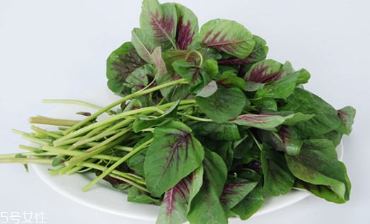 吃莧菜可以減肥嗎？減肥食物熱量排行榜