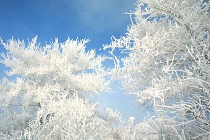 2018三九天是什么意思？三九天小常識