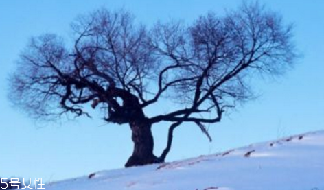 三九天最適合減肥的運(yùn)動有哪些？推薦三種減肥運(yùn)動