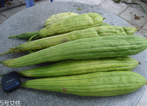 絲瓜老了還能吃嗎？軟的絲瓜口感會比較鮮甜