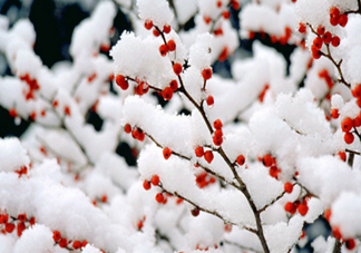 2018三九天是什么意思？三九天小常識