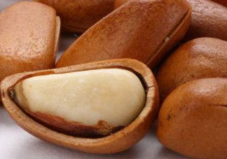 松子發(fā)霉了還能吃嗎 發(fā)霉的松子千萬(wàn)別吃