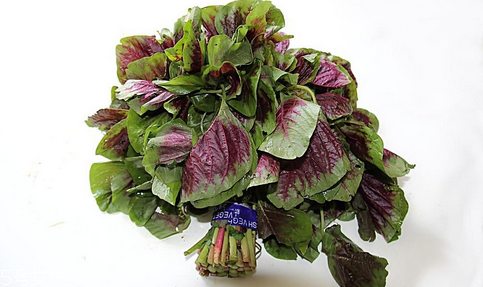 吃莧菜可以減肥嗎？減肥食物熱量排行榜