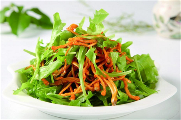 苦菊小孩能吃嗎？小孩吃苦菊促進腦部發(fā)育