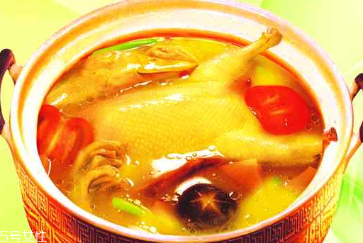 紅菇可以燉鴨肉嗎 滋補紅菇老鴨湯食譜 紅菇可以燉鴨肉嗎 滋補紅菇老鴨湯食譜