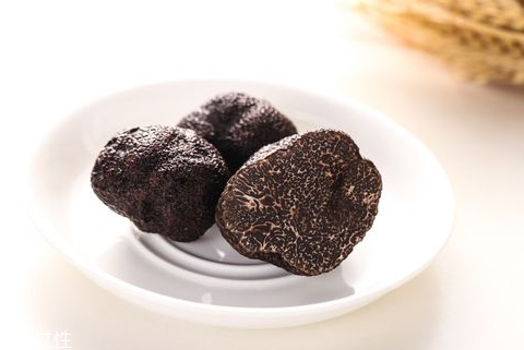 2018年黑松露多少錢一斤 黑松露最新價格行情 2018年黑松露多少錢一斤 黑松露最新價格行情