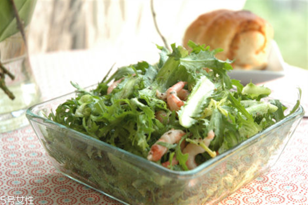 苦菊可以生吃嗎？營養(yǎng)健康苦菊菜做法