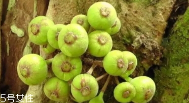 牛奶果皮能吃嗎？