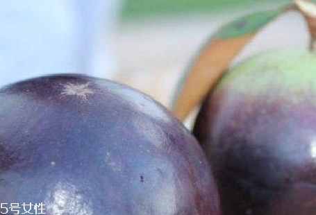 牛奶果和無花果是一種東西嗎 牛奶果和無花果是一種東西嗎