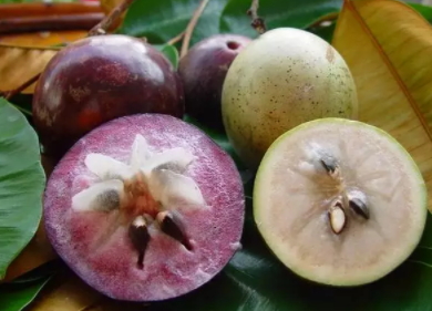 牛奶果多少錢一斤？青色和紫色是一樣的嗎