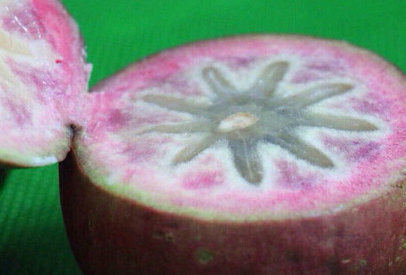 牛奶果多少錢一斤？青色和紫色是一樣的嗎