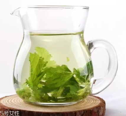 桑葉茶哪些人不能喝？過多飲用傷脾胃傷腎