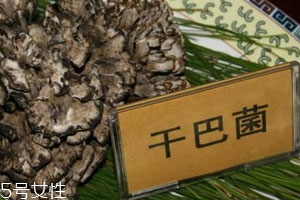 干巴菌怎么洗干凈 小心里面隱藏的泥沙 干巴菌怎么洗干凈 小心里面隱藏的泥沙