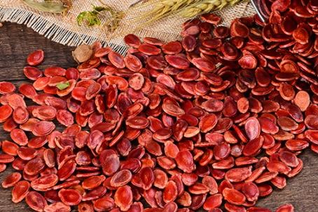 紅瓜子孕婦可以吃嗎？來看看紅瓜子的禁忌人群