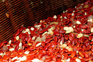 紅瓜子孕婦可以吃嗎？來看看紅瓜子的禁忌人群