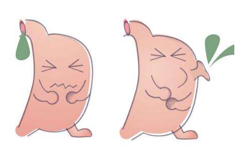 嘔酸水怎么辦？多補充堿性食物