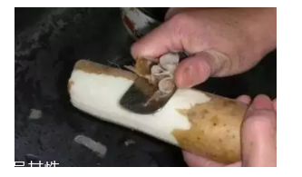 懷孕后能吃山藥嗎？山藥能促進胎兒發(fā)育