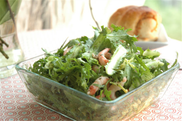 苦菊可以生吃嗎？營養(yǎng)健康苦菊菜做法