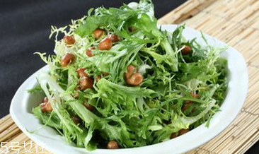 苦菊有哪些功效和作用？苦菊是屬于菊花的一種