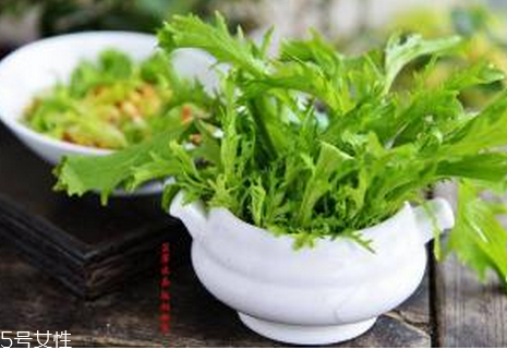 苦菊有哪些功效和作用？苦菊是屬于菊花的一種