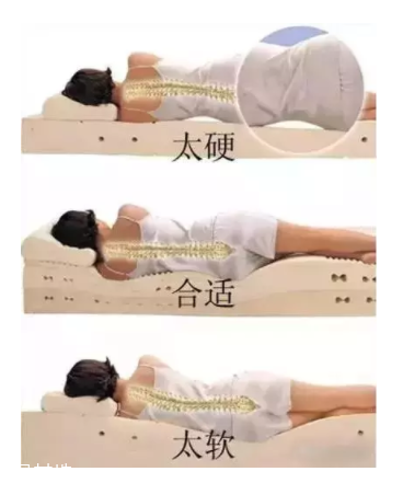 床越軟越好嗎？軟床導致駝背
