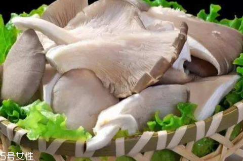 平菇是熱性還是涼性 平菇性溫味甘 平菇是熱性還是涼性 平菇性溫味甘
