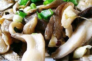 平菇的熱量是多少 平菇熱量低 平菇的熱量是多少 平菇熱量低