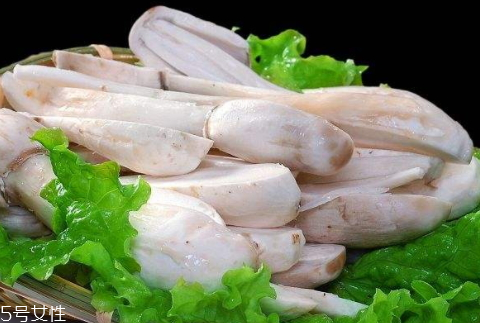 雞腿菇可以放幾天 烘干保存時間更長 雞腿菇可以放幾天 烘干保存時間更長