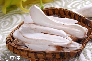 雞腿菇可以放冰箱嗎 放冰箱冷藏口感更佳 雞腿菇可以放冰箱嗎 放冰箱冷藏口感更佳