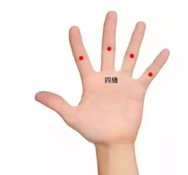 神曲有什么作用？最溫柔的助消化食品