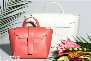 senreve包包多少錢？堪比lv的包包潛力股
