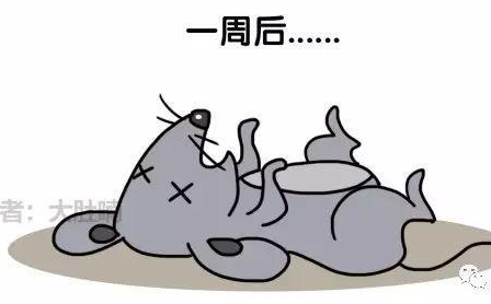 自然堂隔離霜孕婦可以用嗎？含有孕婦禁用成分