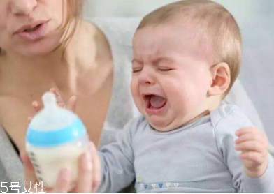 哪種奶酪適合寶寶吃？認準原制干酪