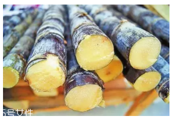 甘蔗的吃法有什么不同？吃法不同療效不同
