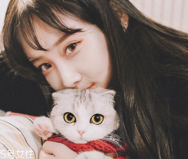 補(bǔ)佳樂一天最多吃幾粒？補(bǔ)佳樂過量有害