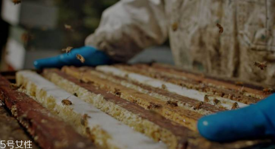麥盧卡蜂蜜有什么驚人功能？?jī)?nèi)服外敷功能強(qiáng)大