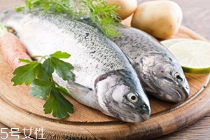 冬天吃魚(yú)有何禁忌？四大禁忌需注意