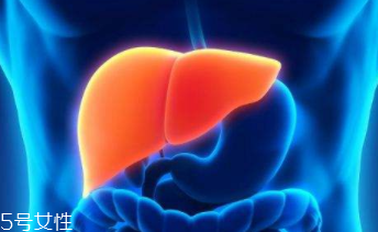 肝病3D方案是指什么？丙肝的克星