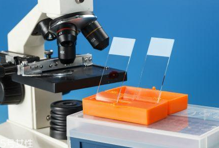 取病理真的是扯塊肉嗎？不疼也無(wú)傷害